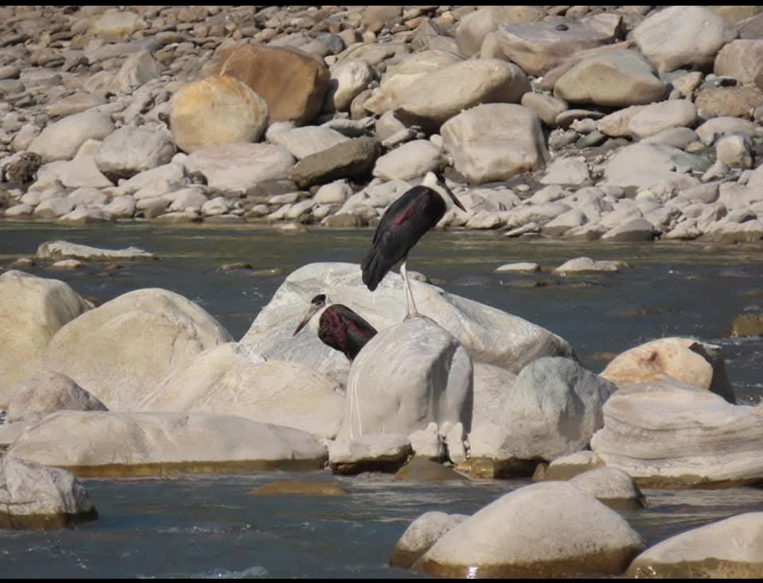 संकटमा कालीगण्डकी सभ्यता