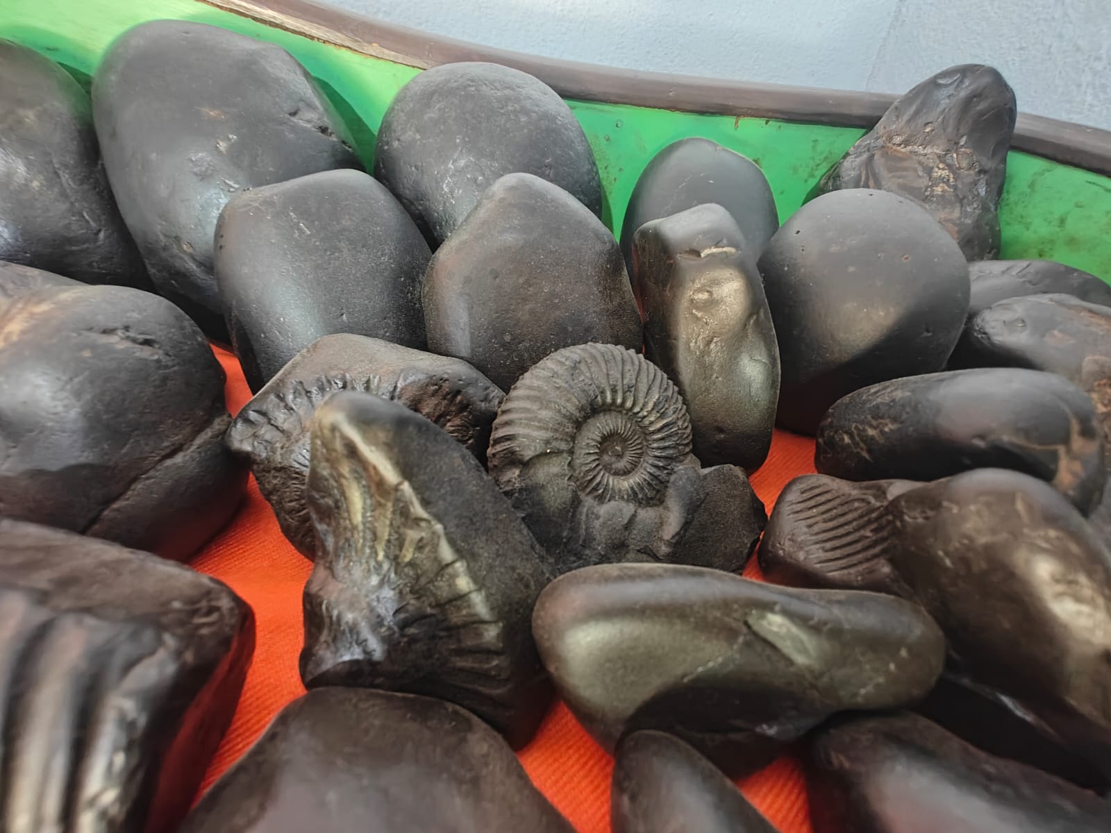 The Divine Presence of Sri Shaligram Shila in Kaligandaki river
